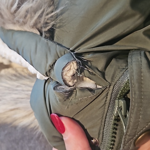 Jacket‎ - Picture 3 of 6